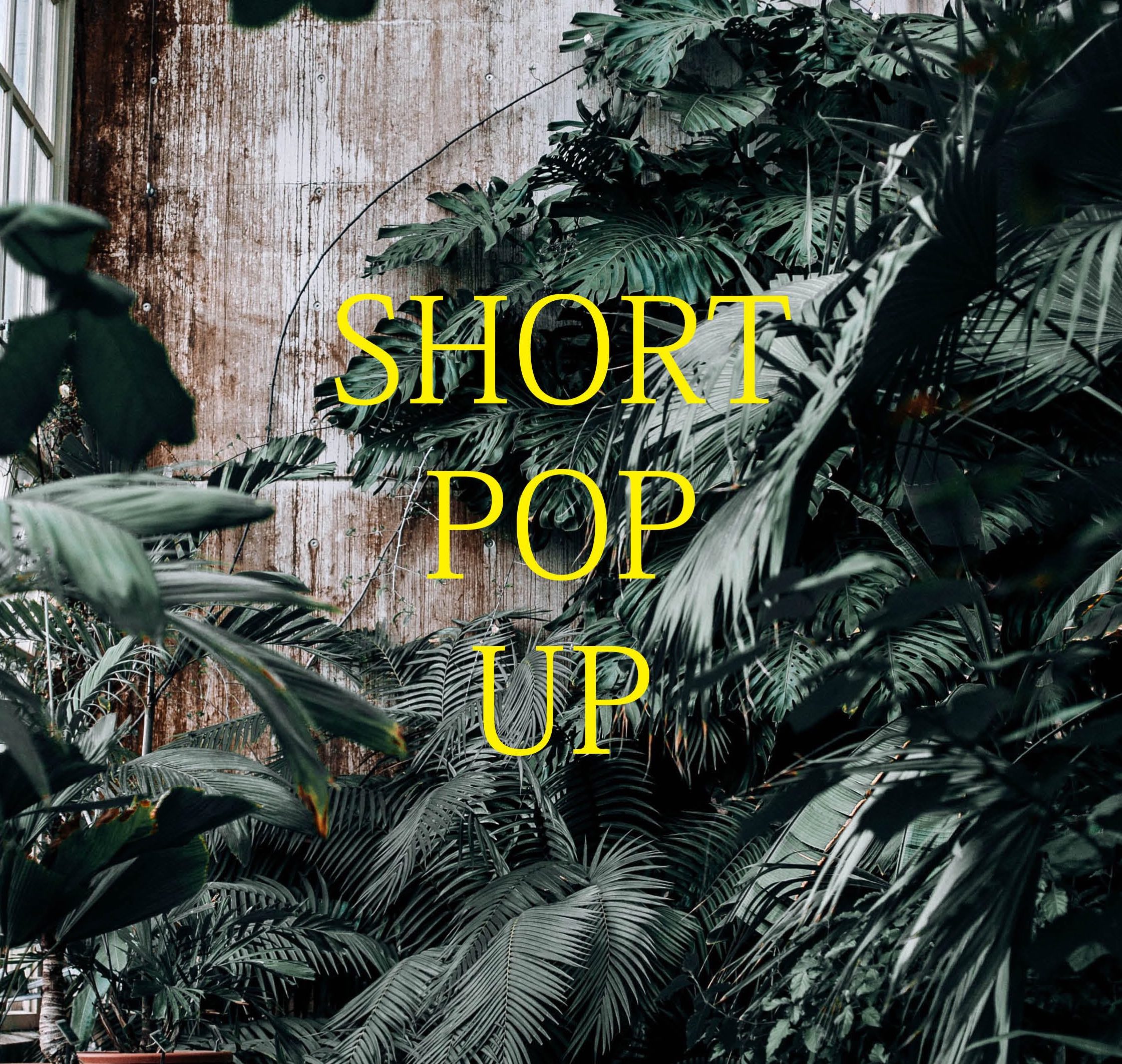 SHORT POP UP 1. & 2. DEZEMBER 2023