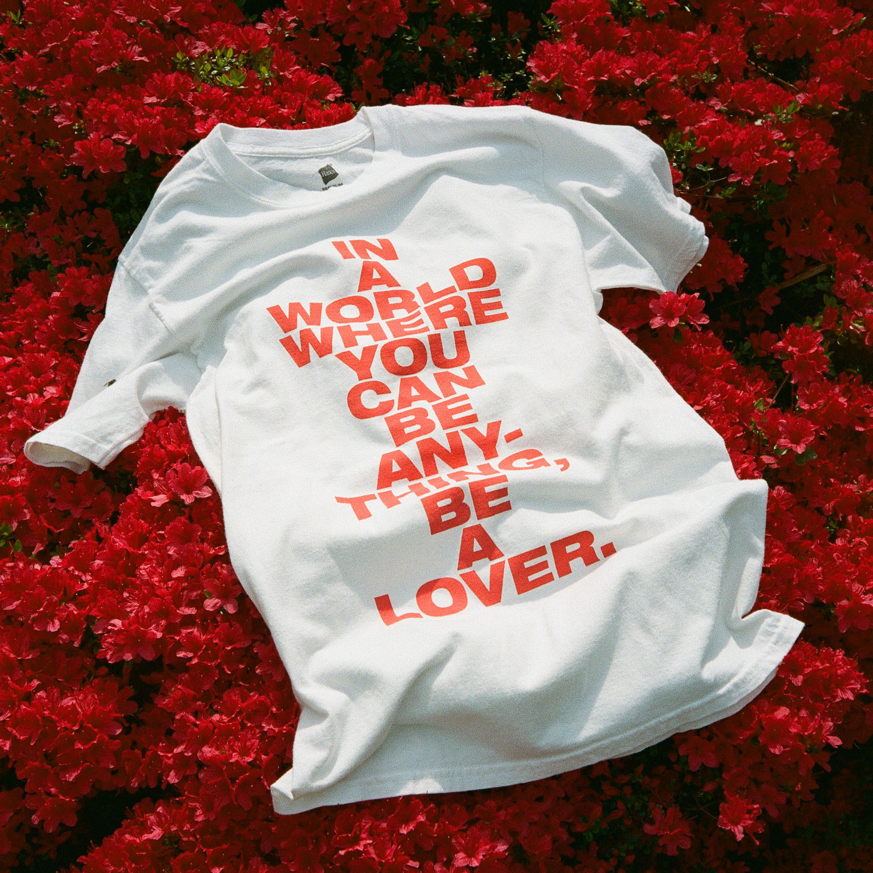 to a T. – LIMITED FIFTY based on a true story