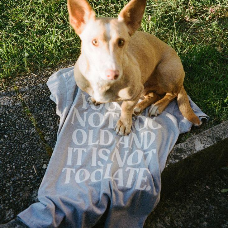 to a T. – LIMITED FIFTY based on a true story T–Shirt `Old` Farbe Grau Grösse M